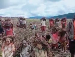 Le gouvernement provincial de Papouasie envoie 1,2 tonne d’aide alimentaire de base à Kuyawage