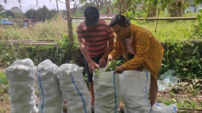 Sulawesi du Nord apporte des légumes à la 6e édition de KMAN