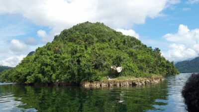 Gunung Srobu montre une grande civilisation de la Papouasie