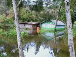 Des centaines de fermes et des dizaines de maisons inondées à Maima
