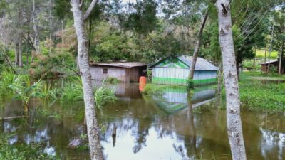 Des centaines de fermes et des dizaines de maisons inondées à Maima